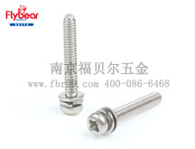 FBR-DM01企業標準 十字槽盤頭螺釘、平墊圈和彈簧墊圈組合件
